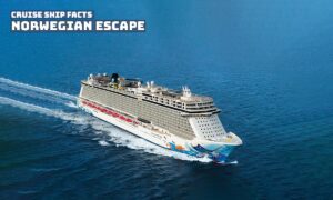Norwegian Escape Cruise Ship - Norwegian Escape Cruise Ship Facts and Information